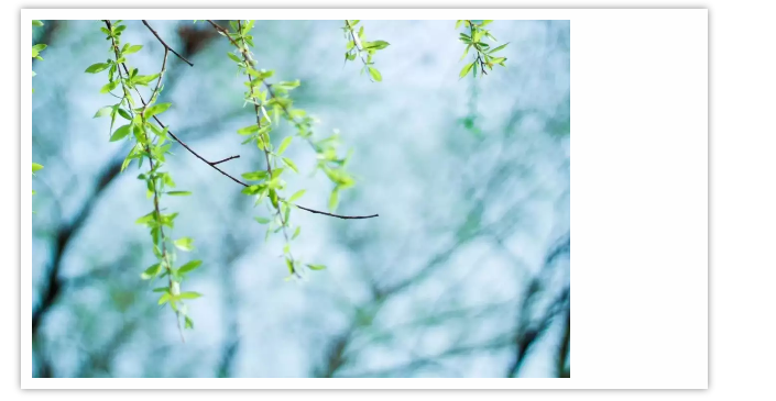 1556010675202765.png s2.png